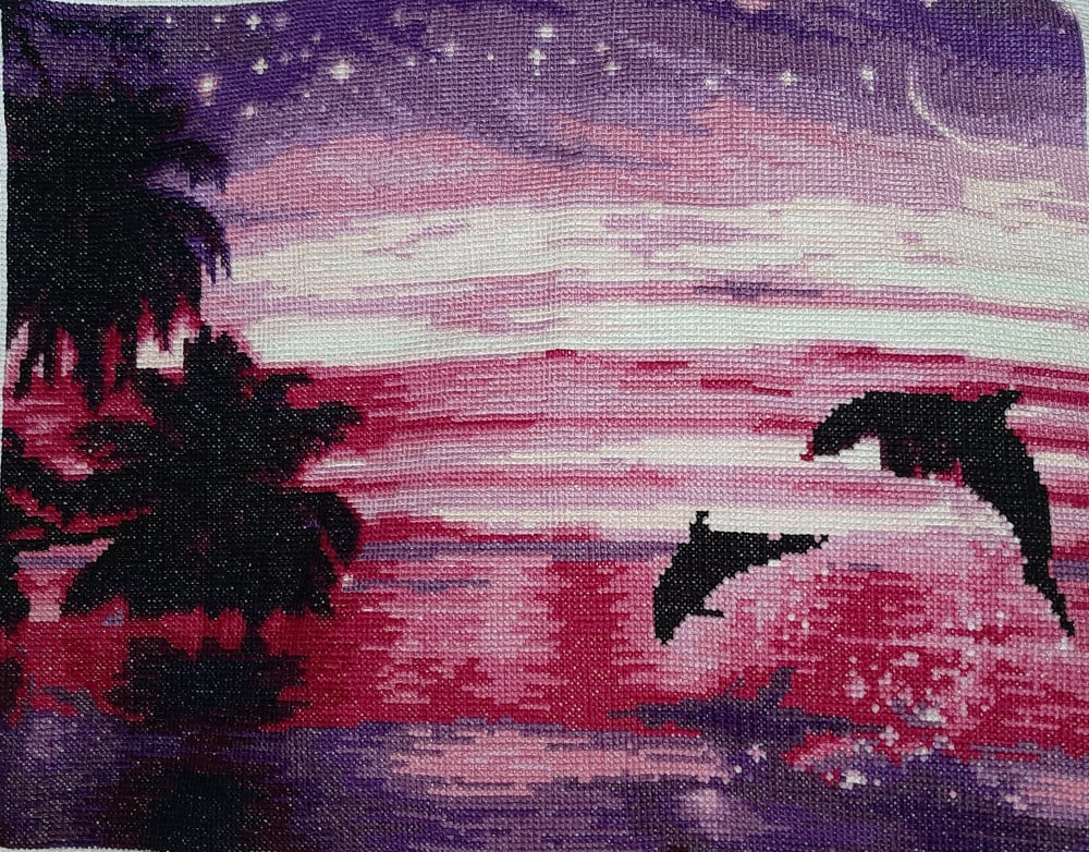 Orca at Play