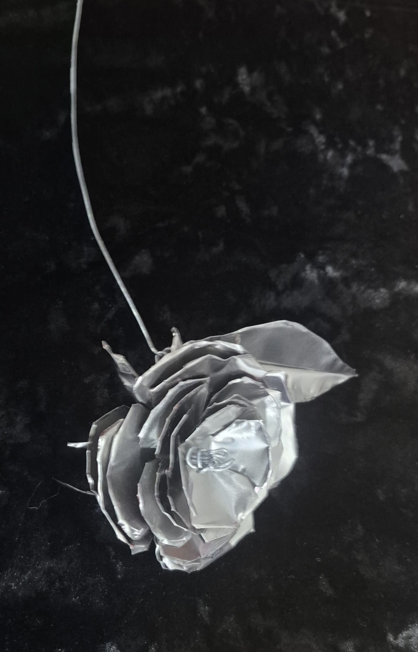 Stainless Rose